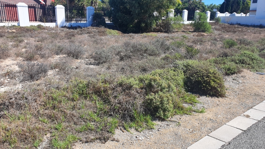 0 Bedroom Property for Sale in Shelley Point Western Cape